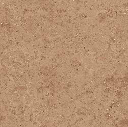 Flavour Granito Arizona Brown Matt. Керамогранит 80х80 см