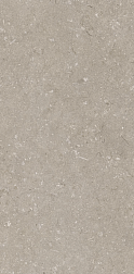 Dado Ceramica Shellstone Taupe Коричневый Матовый Керамогранит 60х120 см