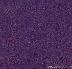 Forbo Marmoleum Real 3244 purple Линолеум натуральный 2,5 мм