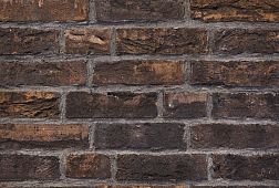 Керамическая плитка Muhr Кирпич ручной формовки WDF 55 21x10x6,5 см
