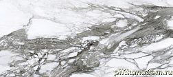 Керамическая плитка Roberto Cavalli Lush Calacatta Renior Lux Серый Полированный Керамогранит 59,4x119 см