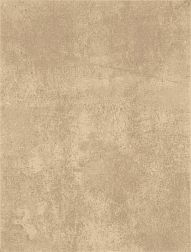 Rako Patina WATKB232 Grey - Beige Настенная плитка 25x33 см