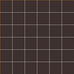 Ce.Si Full Body Bromo Su Rete Мозаика 5х5 30х30 см