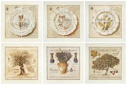 Фотоплитка Herbarium 1 Декор (3 шт. 20х20 + 3 шт. 10х10) см