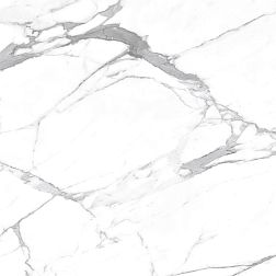Керамическая плитка Ceradim Carrara Terrific Silver Белый Матовый Керамогранит 60х60 см