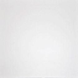 Керамическая плитка Grasaro Domino G-100-MR Керамогранит белый 60х60 см