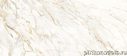 Керамическая плитка Roberto Cavalli Lush Calacatta Oro Lux Бежевый Полированный Керамогранит 59,4x119 см