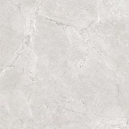 Керамическая плитка Flavour Granito LKF1G2019160 Glossy Серый Полированный Керамогранит 60x60 см