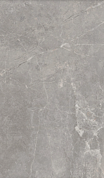 Baldocer Concept Gray Серый Матовый Керамогранит 60x120 см