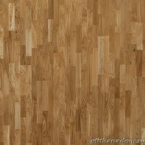Focus Floor 3-х полосная Дуб Либеччо глянцевый лак Паркетная доска 2266х188х14