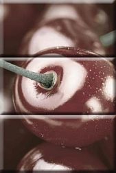 Absolut Keramika Cherry Composicion Панно (из 3-х плиток) 10x20 см