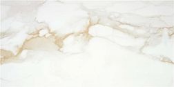 Керамическая плитка Stylnul (STN Ceramica) Camile Gold Rect Бежевый Глянцевый Ректифицированный Керамогранит 60х120 см