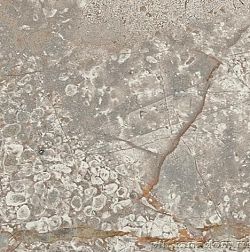 Керамическая плитка Atlas Concorde Russia Empire Silver Root Bottone (610090002383) см