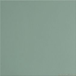 Уральский гранит Моноколор UF029 Мурена Полированный Керамогранит 60х60 см