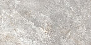 Alma Ceramica Persey TWU2550PRS70 Серая Матовая Настенная плитка 24,9х50 см