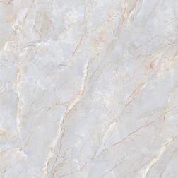 Керамическая плитка Flavour Granito LKF1G2019121 Glossy Серый Полированный Керамогранит 60x60 см