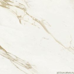 Baldocer Adaggio Gold Pulido Rectificado Керамогранит 120x120 см