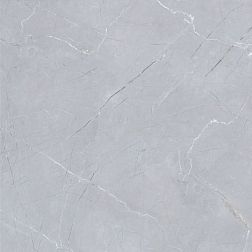Керамическая плитка Flavour Granito LKF1G2019252 Glossy Серый Полированный Керамогранит 60x60 см