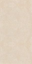 Fakhar Vangard Bone Бежевый Матовый Керамогранит 60х120 см