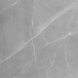 Керамическая плитка Absolut Gres Armani Gris AB 1106G Серый Полированный Керамогранит 60x60 см