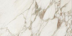 Керамическая плитка Rex I Вianchi di Rex 736004 Calacatta Lucido Керамогранит 80х180 см