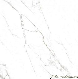 RHS Ceramiche (Rondine group) Canova Statuario Rett Керамогранит 60х60 см