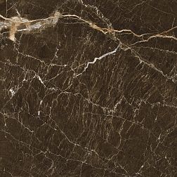 Fanal Windsor Brown NPlus Коричневый Глянцевый Керамогранит 90x90 см