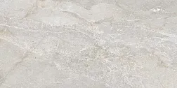 Керамическая плитка Art Ceramic Stonico Oyster Grey Glossy Серый Полированный Керамогранит 60х120 см