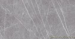 Museum Museum-P Greystone Argent EP Керамогранит полированный 60х120 см