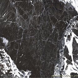 Керамическая плитка Roberto Cavalli Lush Noir Antique Lux Черный Полированный Керамогранит 59,4x59,4 см