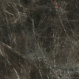 Керамическая плитка Paradyz Tosi 411723 Напольная плитка 89.8x89.8 см