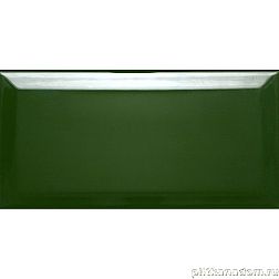 Dar Ceramics Настенная плитка (кабанчик) Biselado Botella Brillo 10x20 см