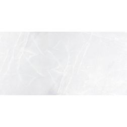 Monopole Onix Grey Серый Полированный Керамогранит 58,5x118,5 см