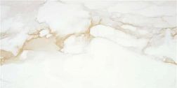 Керамическая плитка Stylnul (STN Ceramica) Camile Gold Sat Rect Бежевый Матовый Ректифицированный Керамогранит 60х120 см