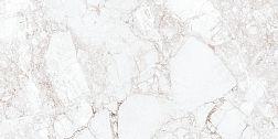 Керамическая плитка Absolut Gres Rossalia Natural Серый Полированный Керамогранит 60x120 см