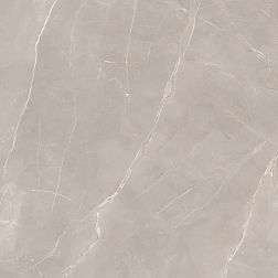 Керамическая плитка Paradyz Ritual Taupe Gres Szkl. Rett Коричневый Матовый Керамогранит 120x120 см