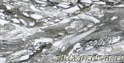 Керамическая плитка Roberto Cavalli Lush Calacatta Renior Animalier Lapp Серый Лаппатированный Керамогранит 59,4x119 см