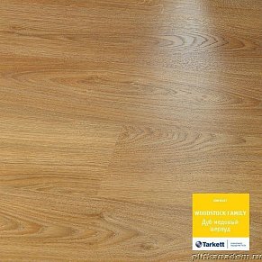Ламинат Tarkett Woodstock Family Дуб медовый шервуд NWOOI-41M1032-8E