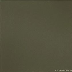 Уральский гранит Моноколор UF037 Хаки Полированный Керамогранит 60х60 см