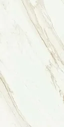 Керамическая плитка Coliseum Gres Треви Floor Project White Белый Матовый Ректифицированный Керамогранит 45х90 см