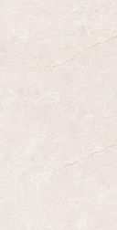 Керамическая плитка Fakhar Kastel Light Gray Серый Матовый Керамогранит 50х100 см