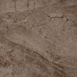 Serra Camanzoni 526 Brown Base Glossy Напольная плитка 60х60 см