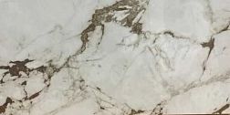 Absolut Gres Calacatta Bronze AB 1098M Коричневый Матовый Керамогранит 60x120 см