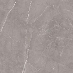 Керамическая плитка Paradyz Ritual Grey Gres Szkl. Rett Mat Серый Матовый Керамогранит 120x120 см