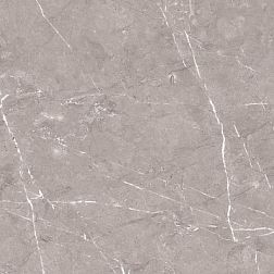 Керамическая плитка Sol Hectic Grigio Carving Серый Матовый Керамогранит 60х60 см