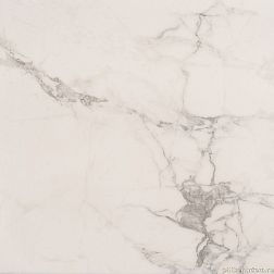 Керамическая плитка Absolut Gres Carrara White Белый Матовый Керамогранит 60x60 см