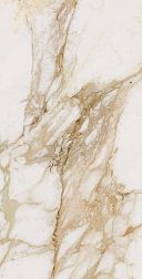 Ocean Ceramic Loyal Glossy Бежевый Полированный Керамогранит 60х120 см