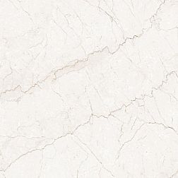 Керамическая плитка Flavour Granito Bottochinoo Grey Glossy Серый Полированный Керамогранит 60x60 см