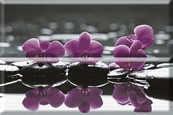 Absolut Keramika Aure Wellness Purple 02 Панно 30х45 (2 шт.) см