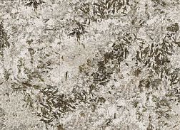 Керамическая плитка Zodiac Ceramica Frozen Fox Бежевый Глянцевый Керамогранит 120x260 см